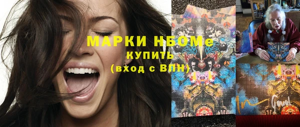 хмурый Алзамай