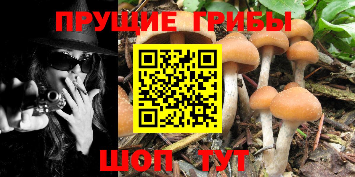 Псилоцибиновые грибы мухоморы Нижнекамск